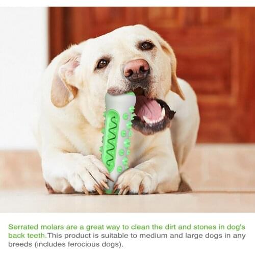 Dog Teeth Grinding Stick Gnawing Teeth Clean Bone Dog Tooth Brush Chewing Gum Pet Toy Dog Bite Resistant Molar Training Grinding