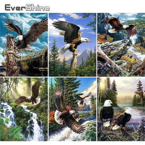 EverShine DIY Diamond Painting Animal Cross Stitch Diamond Embroidery Eagle Full Square Mosaic River Rhinestones Handmade Hobby