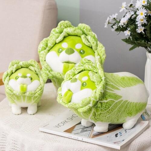 Creative Cabbage Dog Plush Toy Soft Cartoon Vegetable Fairy Plant Stuffed Doll Comfortable Pillow Toys for Children Gift