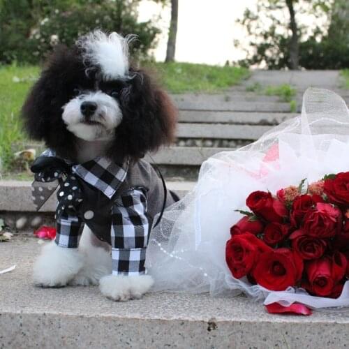 Pet Dog Shirt Puppy Clothes Three-Piece Suit Waistcoat+Shirt+Bow-Tie Bib For Small Dogs Handsome Party Costume Vest Poodle Pug