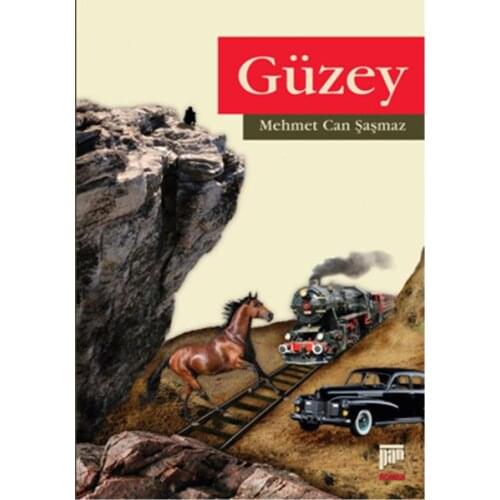 Güzey Mehmet Can Şaşmaz Pan Publishing (TURKISH)