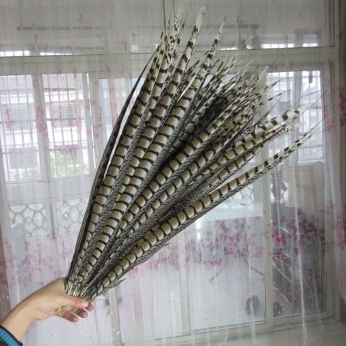 Wholesale 50pcs/lot 65-75CM Natural Pheasant Tail Feathers For Crafts Hair Extension Wedding Decorations DIY Feather Plumes