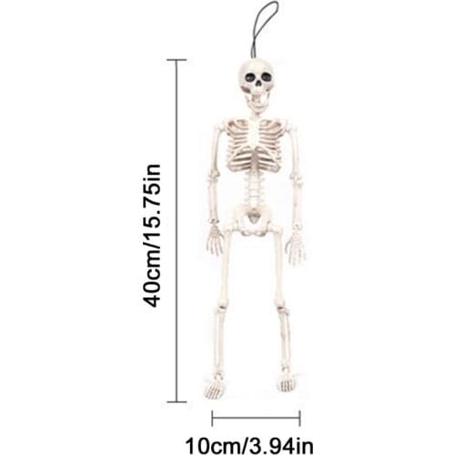 Flexible Human Anatomical Anatomy Skeleton Model Full Life Size Halloween Prop 63HE
