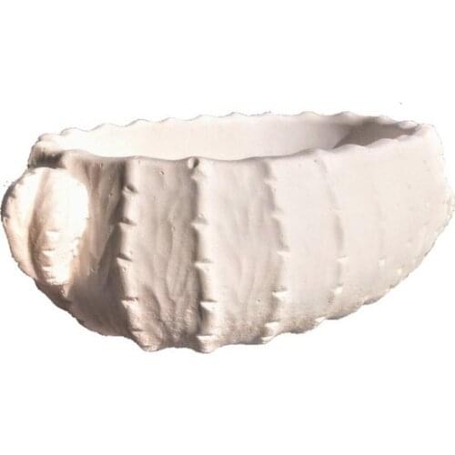 Gypsum Cactus Flower bed 23 X14X8 cm paintable decorative objects декоративные предметы под роспись