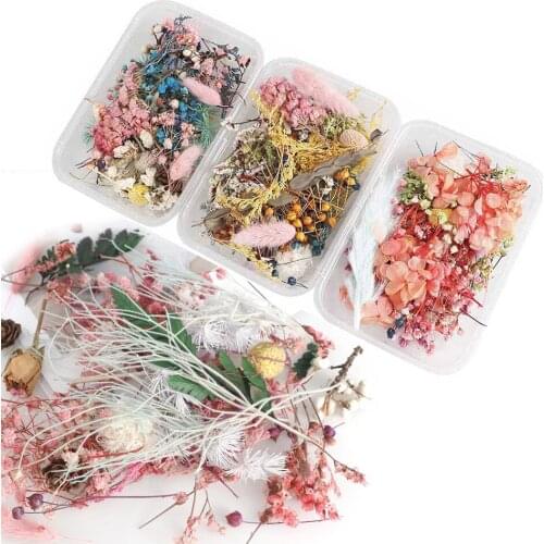 1 Box Real Dried Flower Dry Plant Candle Stuffing Candle Resin Weding Party Special Making Craft DIY Tool Coaster Stuffing TW043