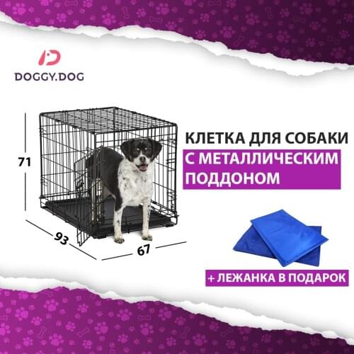 HappiDoggy Products For Dogs