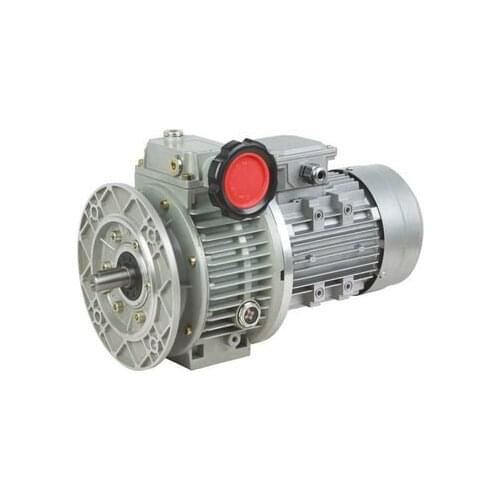 380V 0.37/0.55/0.75KW NMRV Worm Gear Reducer Motor,UDL Planetary Cone Disc Stepless Variable Speed Motor,transmission Equipment