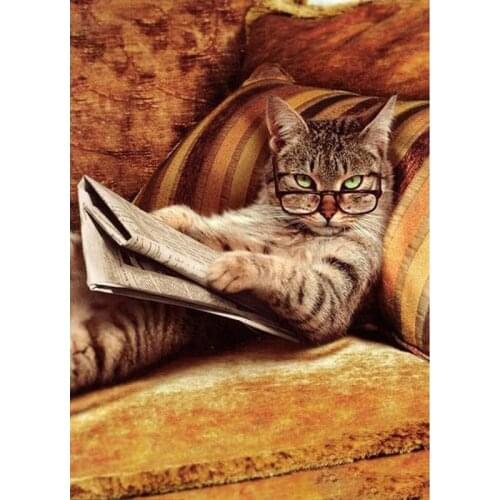 Canvas Size 5D Diy Diamond Painting Cross Stitch Kit Diamond Mosaic Embroidery "Cat" Painting Square/Round Drill Gift