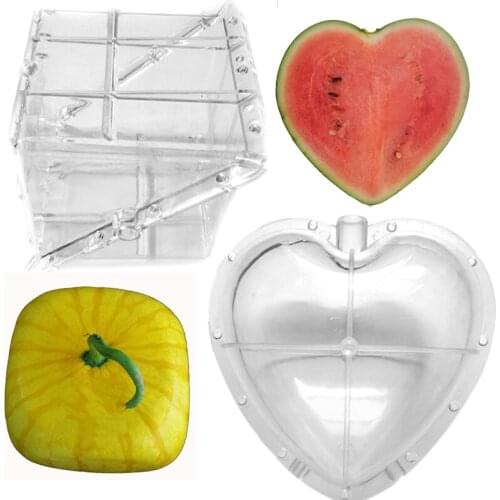 25%,Cucumber Watermelon Fruits Growth growingForming Mold Square Shape Heart-Shaped Plastic Transparent For Garden Bonsai
