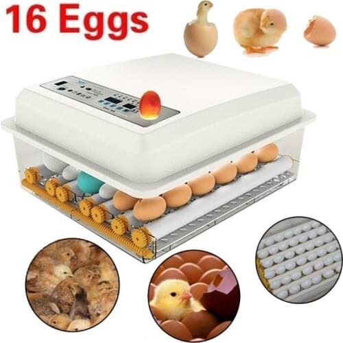 Dreamburgh Farm Hatchery Incubator Brooder Machine Egg Hatchers Chicken Automatic Eggs Incubator with Turner Bird Quail Brooder