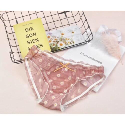 Daisy Print Cute Mesh Womens Underwear Sexy Transparent Hollow Out Panties Sex String Temptation Thong Seamless Briefs
