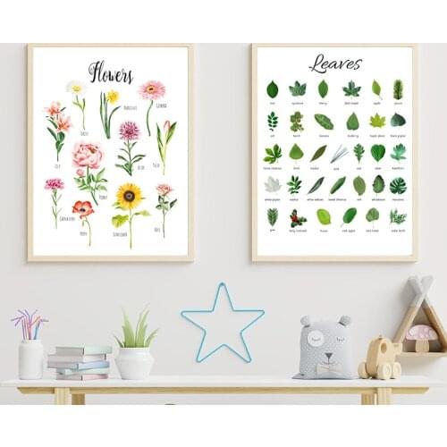 PLANT LEAVES FLOWERS Educational Posters Kids Boys Girls Children Rooms Learning Illustration Botanical Canvas Print Wall Decor