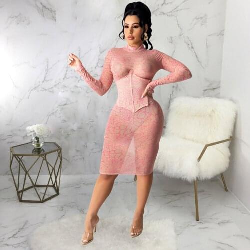 Aesthetic Printed Streetwear Skinny Midi Dress Women Half High Necked Long Sleeve Sheath Dress Sexy Mesh Sheer Stretchy Outfits