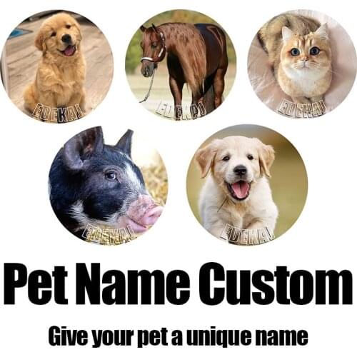 AB Colorful Diamond Painting Full Square Drill Animal Name Customization cat dog horse Photo Name custom diamond painting