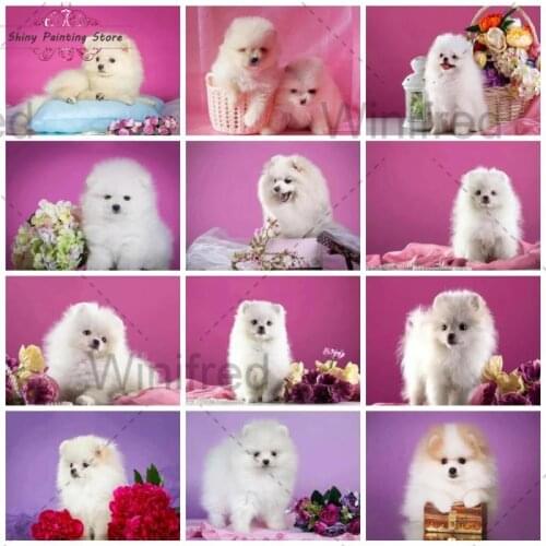 Pomeranian Dog Diamond Embroidery DIY Diamond Painting Cross Stitch Kit Animal White Hiroshi Dog 5D Diamond Art Home Decoration