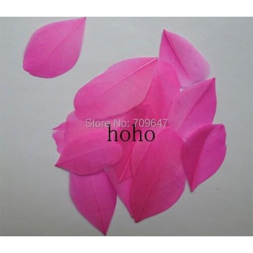 200Pcs/lot!3-6cm Peach/Hot Pink Trimmed Goose Feathers, Feather Petals,Pink Trimmed Feathers,Diy Feather for Accessories