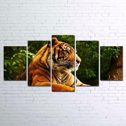 5 Panel Large HD Printed Painting Tiger Resting Poster Canvas Print Art Home Decor Wall Art Picture for Living Room