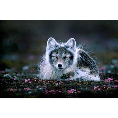 Sleeping wolf full square diamond embroidery Diamond mosaic magic diamond cross stitch crystal sets home decor painting A7118R