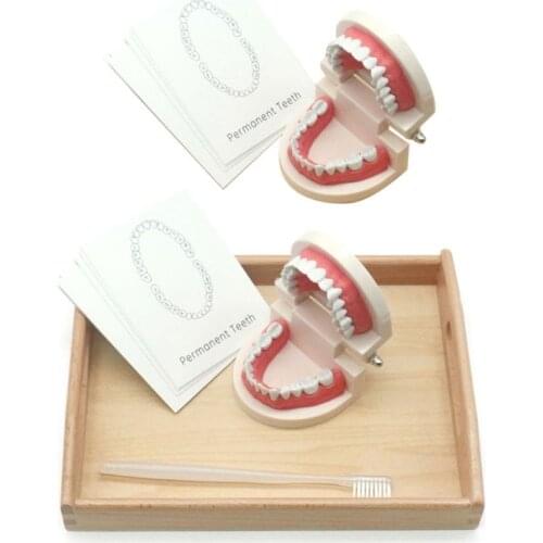 XUEZHISHAN TOYS Montessori