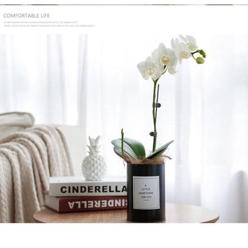 1 Piece Wedding Moth Orchid Artificial Flowers 5 Heads Real Touch Artificial Butterfly Orchid for Home Festival Party Decoration