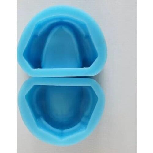 Dental Silicon Rubber Mould Without Teeth Holostomatous without teeth model