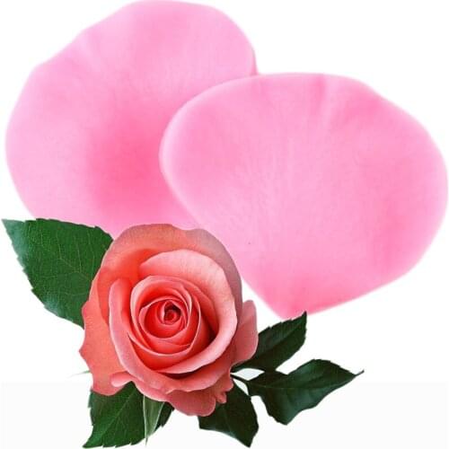 DIY 2Pcs Rose Flower Petal Silicone Mold Wedding Fondant Cake Decorating Tools Cupcake Baking Candy Clay Chocolate Moulds