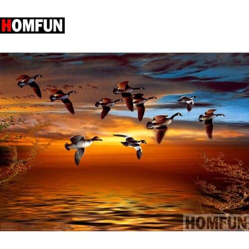 HOMFUN Full Square/Round Drill 5D DIY Diamond Painting "Bird sunset" Embroidery Cross Stitch 5D Home Decor Gift A14334