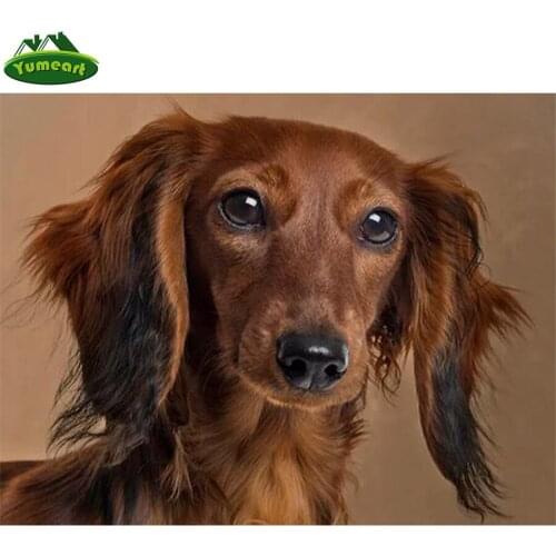 Full 5D Diy Daimond Painting Cross-stitch "Dachshund Puppies" 3D Diamond Mosaic Square Drill Rhinestones Dog Painting Decor Art