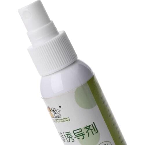 Catnip Pet Training Toy Natural Healthy Mint Funny Scratch Toy Spray