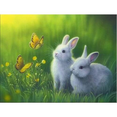 5D DIY Diamond Painting Full Square Round 3D Embroidery Butterfly Bunny Picture of Rhinestones Cross Stitch Kit Decor Gift DF631