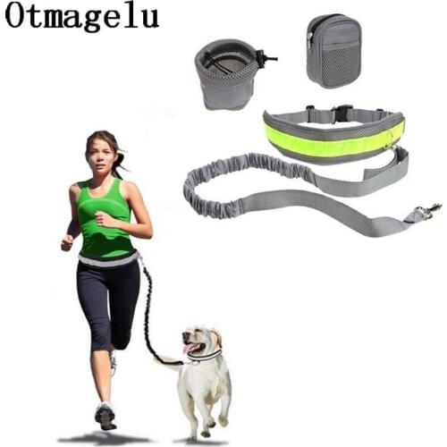 Elastic Dog Traction Belt Rope Set Dog Leashes Pet Run with Keeper Pets Sport Leash With Belt Reward Bag Debris Storage Bag Kits