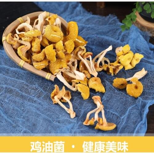 Dried Wild Chanterelle Mushrooms Healthy Organic Food From China
