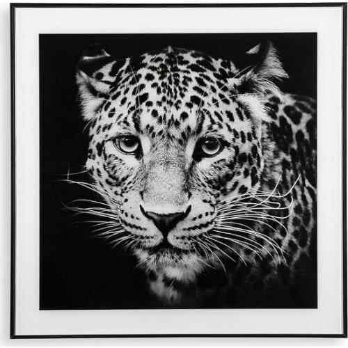 Painting Leo Crystal (2 x 50 x 50 cm)