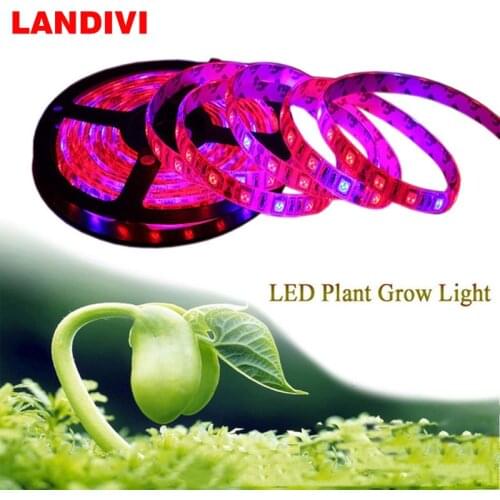 LED Grow Lights SMD 5050 LED Strip Light DC12V Red Blue 3:1 4:1 5:1 for Greenhouse Hydroponic Plant Growing 5m/lot