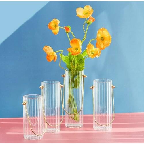 Nordic minimalist ins wind hand-held straight glass vase set piece tabletop decoration creative dry flower flower inserter