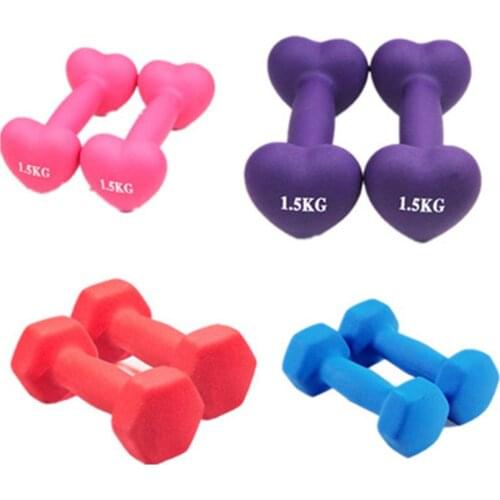1 Pairs Dumbbell Women Children Dumbells Fitness Equipment for PE Exercise Home Gym Workout Body Building Muscle Trainer 1/1.5KG