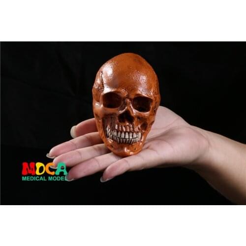 Resin skull Halloween gifts personal ornaments home accessories GXGT014