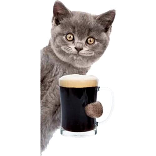 Patches Fun Cat Beer Apparel Accessories Diy Womens Clothing T-shirt Thermal Transfer Paper Iron Ons Sticker for Clothes Patch