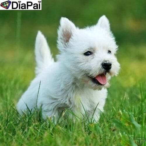 DiaPai Diy 5d Diamond Painting "Animal dog" Cross Stitch Square Round Diamond Embroidery Handwork Rhinestone Art A26125