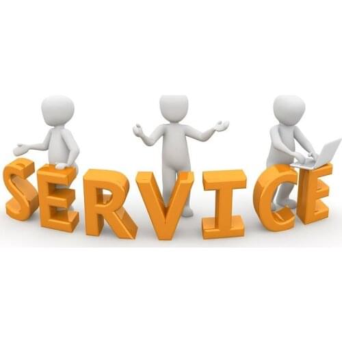 Missing Cat Stud Earrings