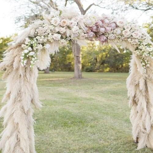 1Pc Real Dried Pampas Grass Decor Phragmites Wedding Flower Bunch Natural Plant Fall Decor For Home Christmas Decoration Bouquet