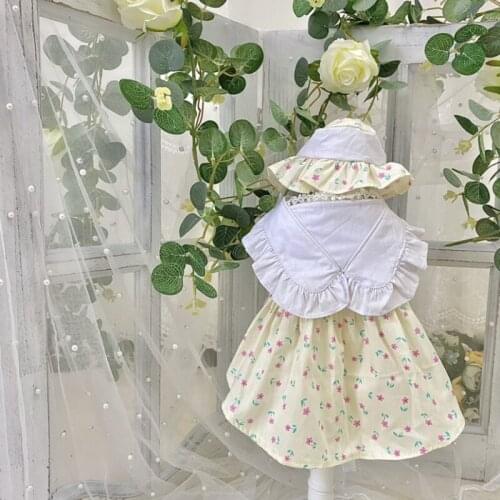 Chihuahua Clothes Summer Dog Dress + Hat Puppy Apparel Yorkshire Pomeranian Shih Tzu maltese Poodle Bichon Schnauzer Clothing XS