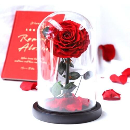 Eternal Flower Double Rose in Dome Light Up Beauty and The Beast Rose In A Flask Valentines Day Birthday Christmas Day Gift