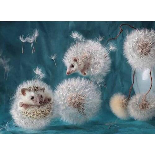 5D DIY Diamond Painting Full Square Round 3D Embroidery Hedgehog Pictures of Rhinestones Cross Stitch Kit Room Decor Gift DF634