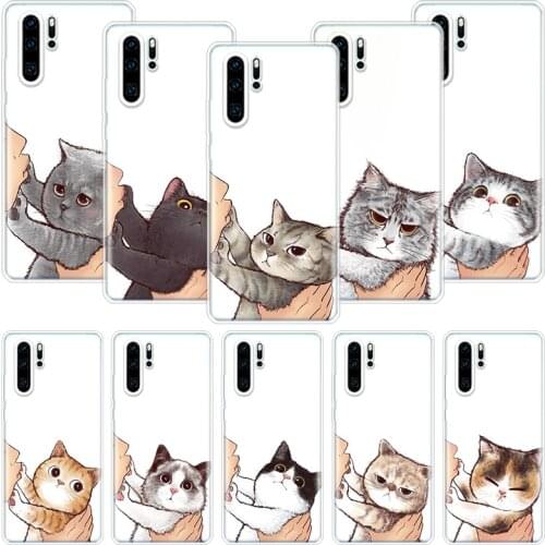 Kiss My Lovely Cat Kitten Phone Case For Huawei Honor 10 9 20 9X 8A 8X 8S 7A 7X Lite Pro 10i 20i Y5 Y6 Y7 Y9 2019 Cover Coque
