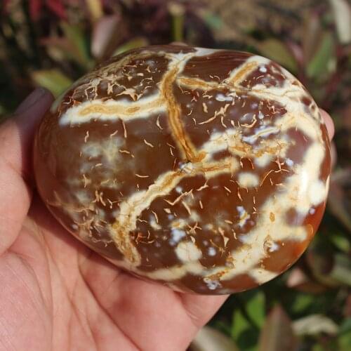 380g Beautiful Natural Polished Red agate Stone Sample QUARTZ CRYSTAL HEALING Aquatic Plants Madagascar Home decoration M14