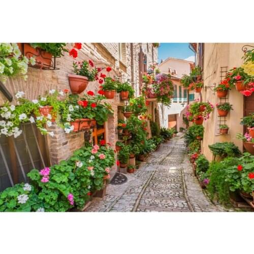 Flowers Pathway Town Street View Photography Backgrounds Customized Portrait Baby Photographic Backdrops For Home Photo Studio
