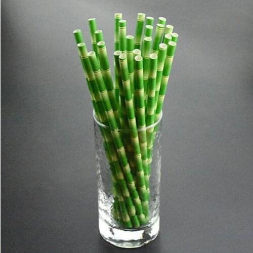 Biodegradable Bamboo Straws Bamboo Paper Straws Eco-Friendly 25Pcs a Lot Party Use Bamboo Straws on Promotion LX6280