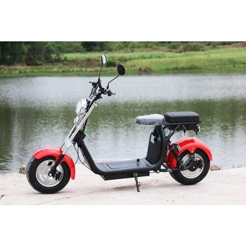 European warehouse SC11 10 inch EEC COC citycoco 1500w fat tire mobility scooter electric Electric Bicycle