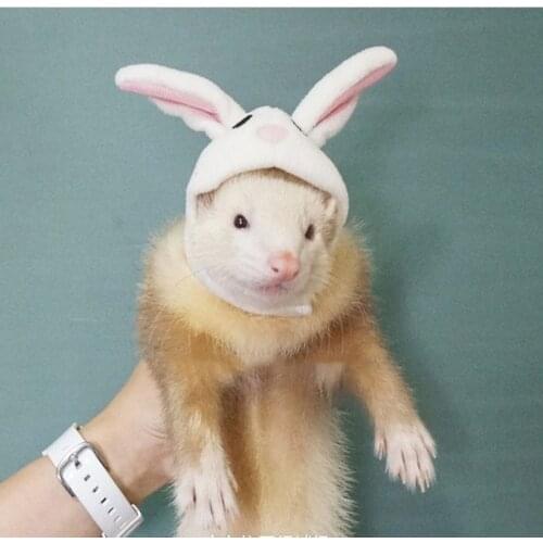 Honey kangaroo hat is warm and fashionable. Its suitable for guinea pigs, rabbits and chinchillas when you go out to take pictu